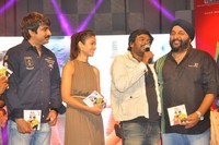 DCM Music Launch Photos